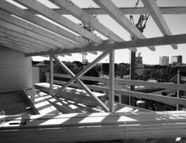 Aufstockung Wasserstrasse 19 